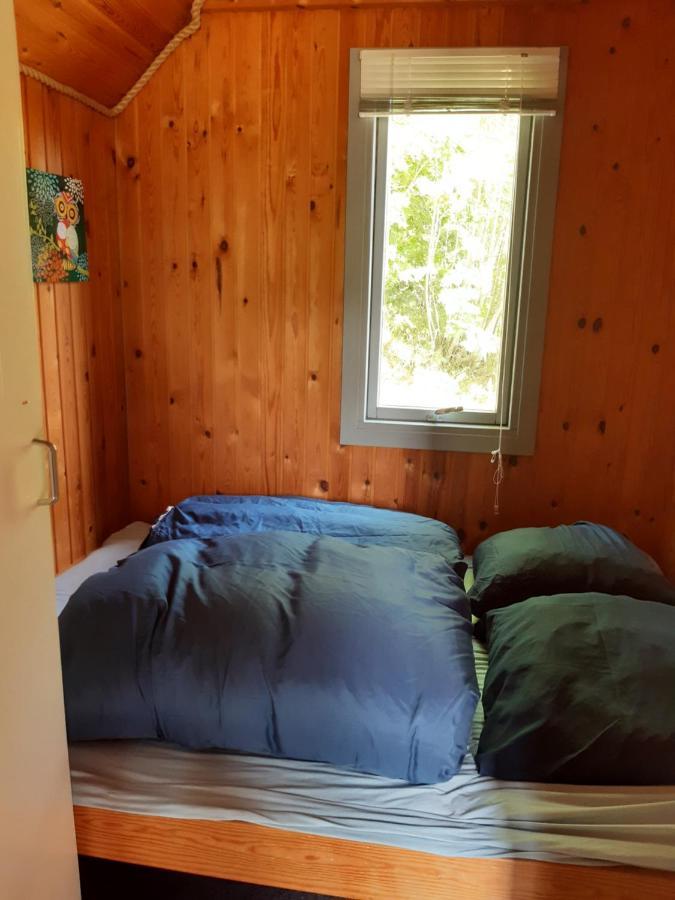 Ulfborg Rejkjaer Camping Hytter & Lejligheder מראה חיצוני תמונה